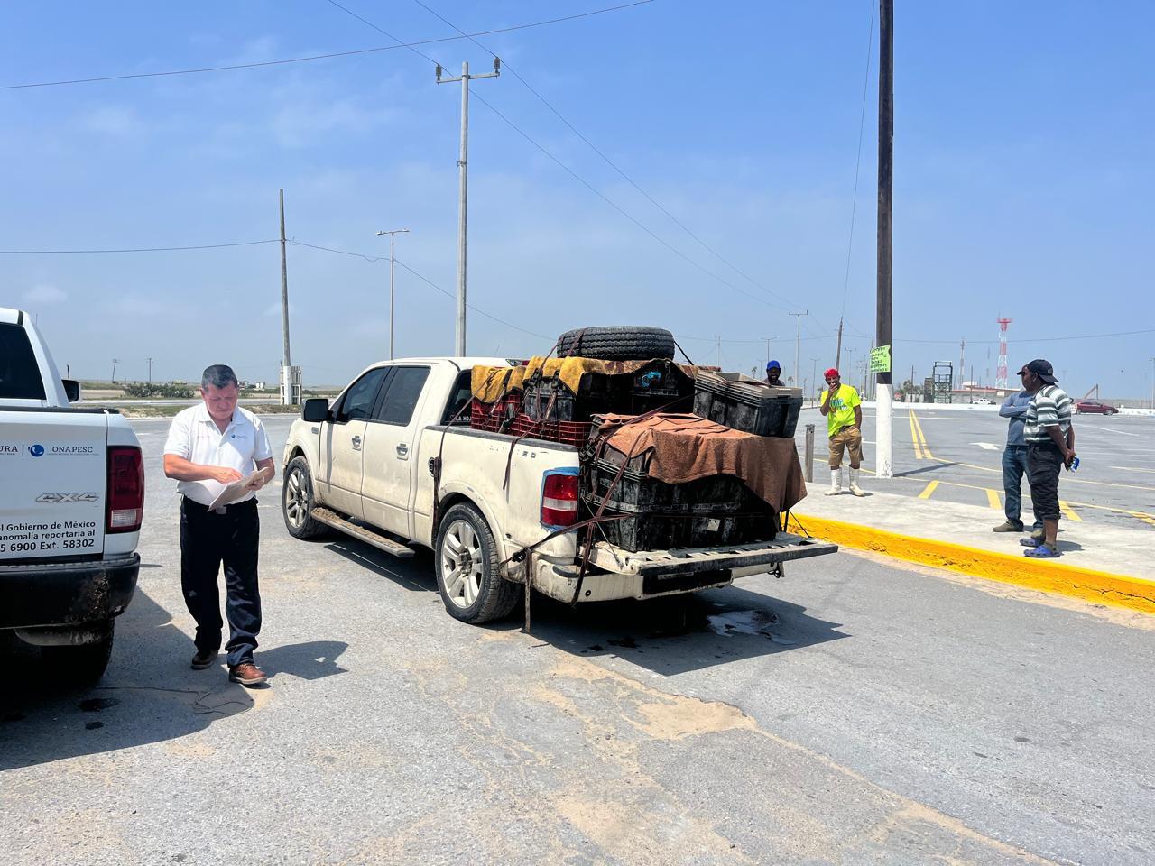 $!Crea Conapesca Sistema Nacional de Trazabilidad para frenar pesca ilegal