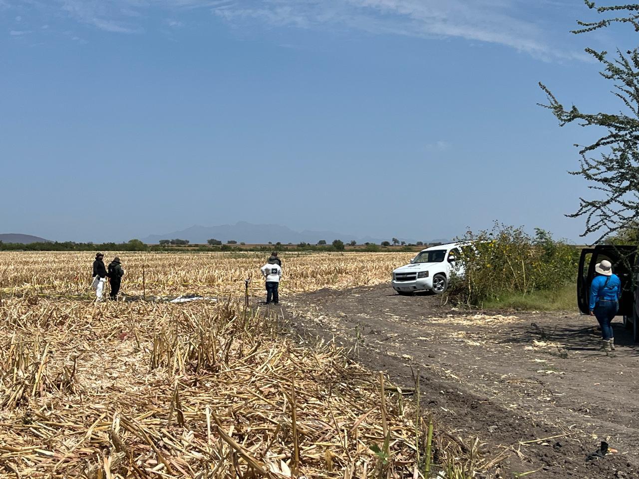$!Colectivas de Madres Buscadoras localizan osamenta en una fosa clandestina en El Alhuate, en Culiacán
