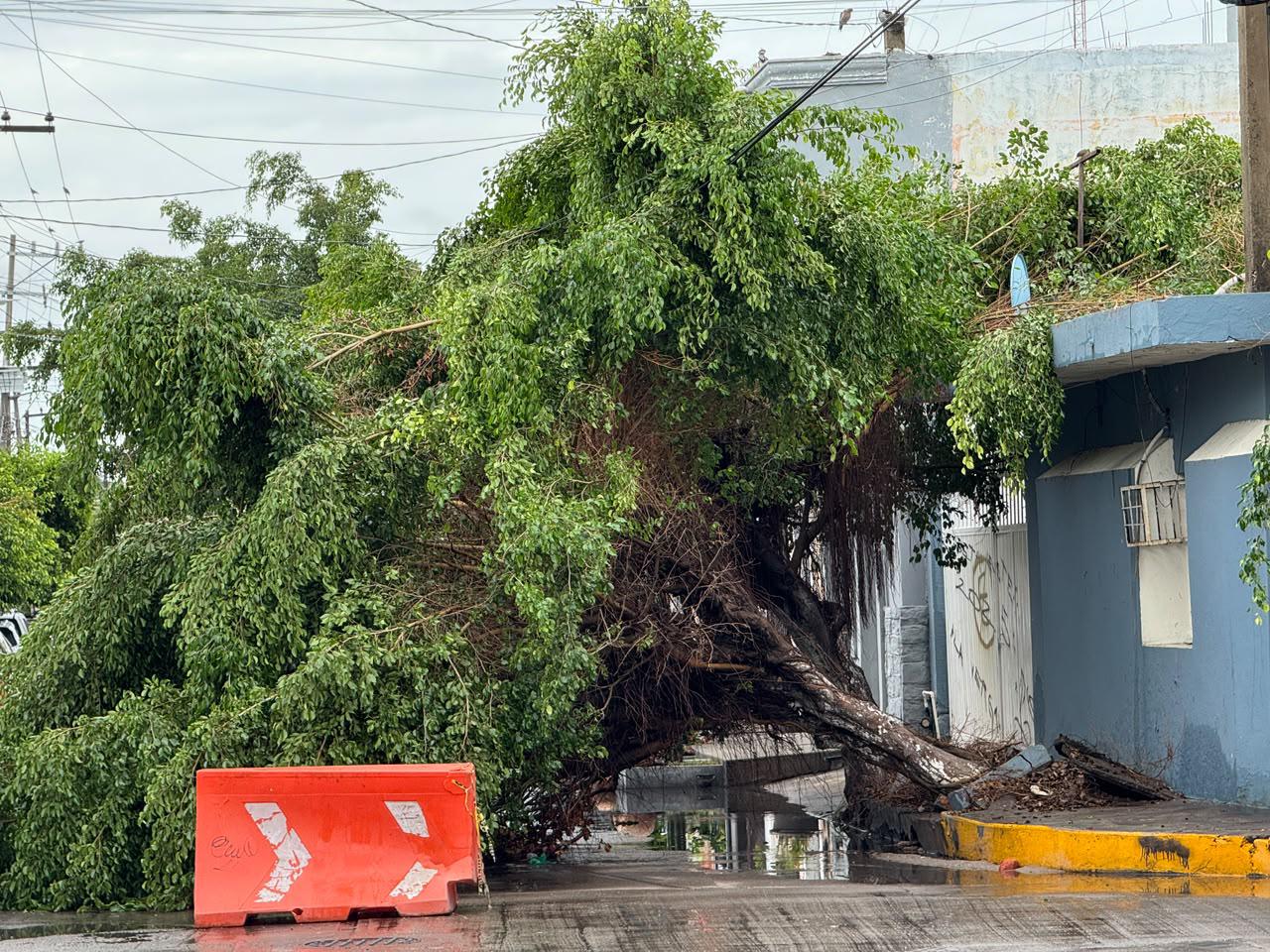 $!Atienden 74 reportes en 24 colonias y activaron cierres preventivos en avenidas de Mazatlán para salvaguardar a la población tras las lluvias
