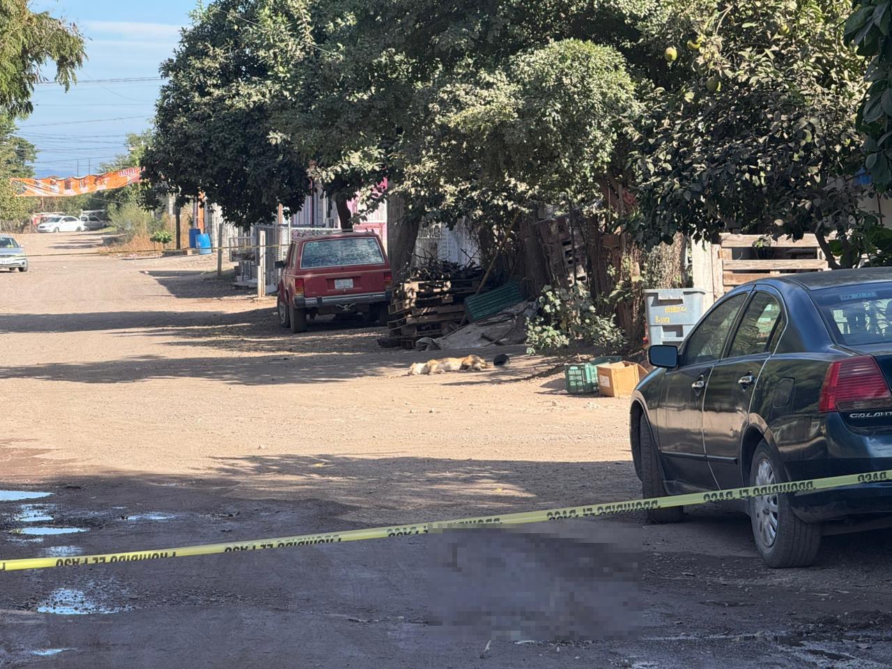 $!Fiscalía de Sinaloa realiza primera necropsia a un perro asesinado en ataque armado en Culiacán