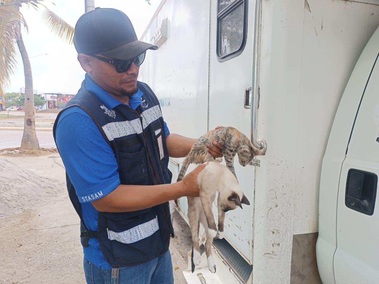 $!Demuestran mazatlecos compromiso por la salud de sus mascotas