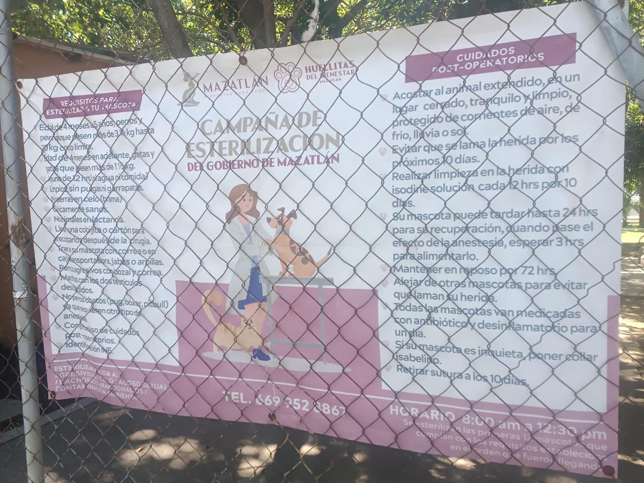 $!Atiende camión esterilizador alrededor de 40 animalitos durante esta semana en Mazatlán