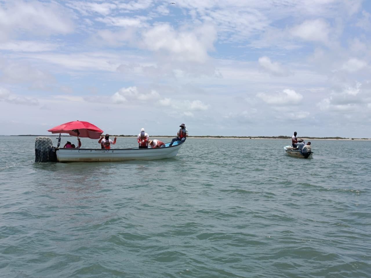 $!Cospita se consolida como destino turístico con éxito en Torneo de Pesca y Festival del Zarandeado