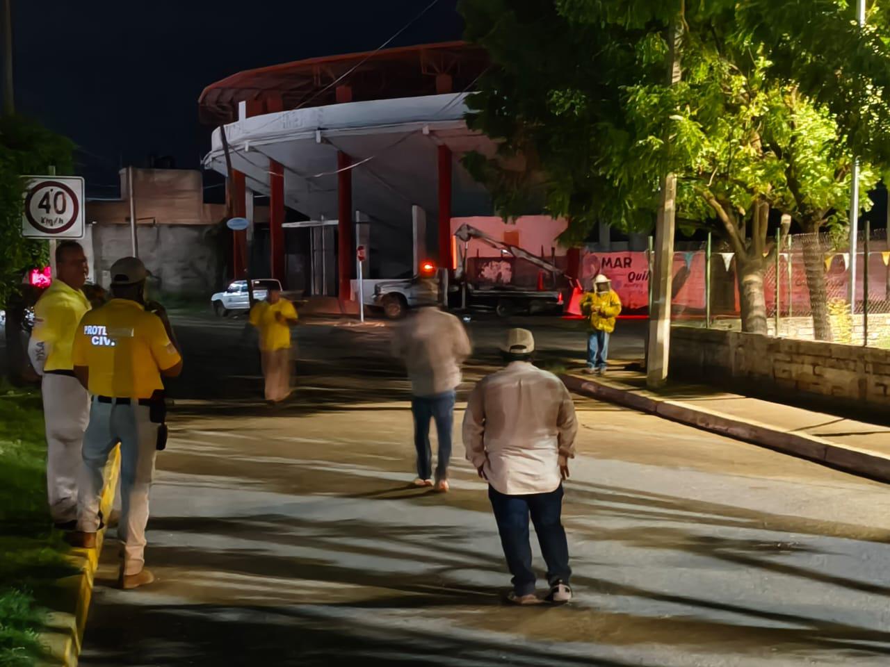 $!Coordinan acciones para erradicar panal de abejas en estadio de Rosario