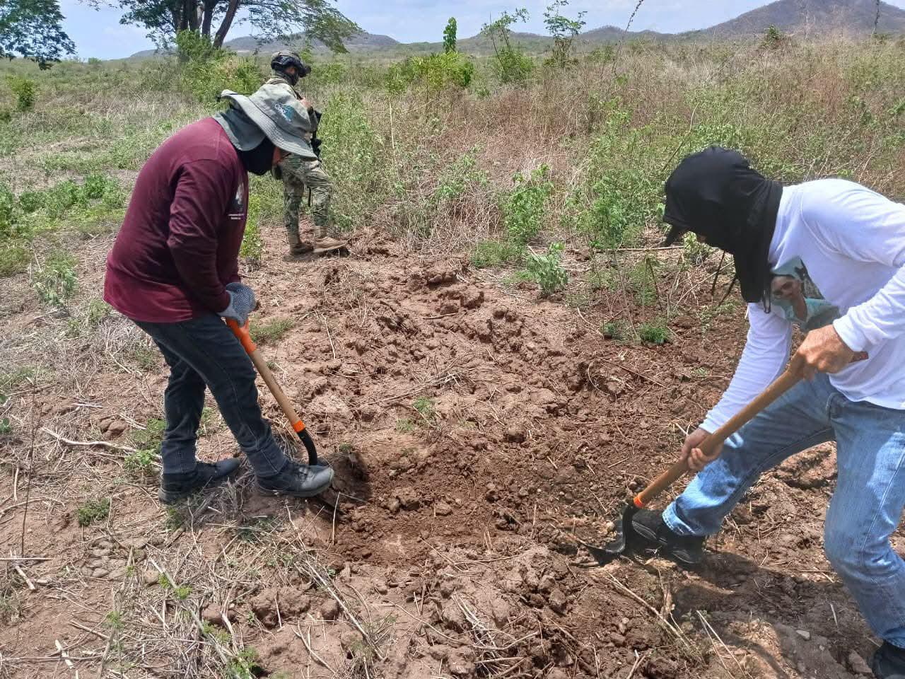 $!Crece temor entre madres buscadoras por riesgo de explosivos durante jornadas de búsqueda en Sinaloa