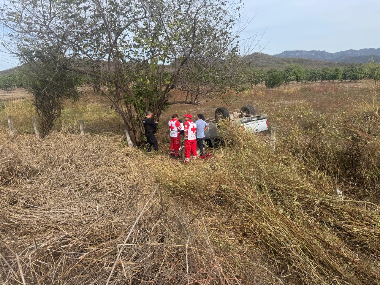 $!Muere adulto mayor en Escuinapa tras volcadura; su hijo sale lesionado