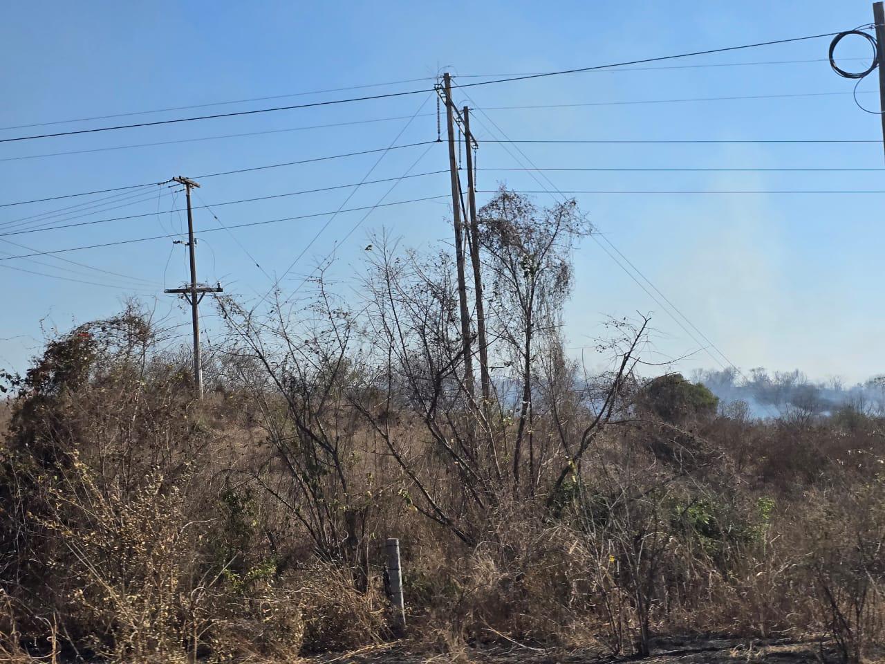 $!Incendios en Rosario se han adelantado mucho por la sequía: Protección Civil