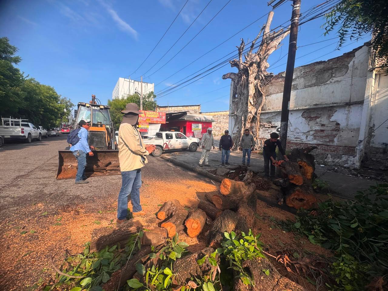 $!Caída de espectaculares, árboles y desbordamiento de arroyos dejan lluvias en Culiacán