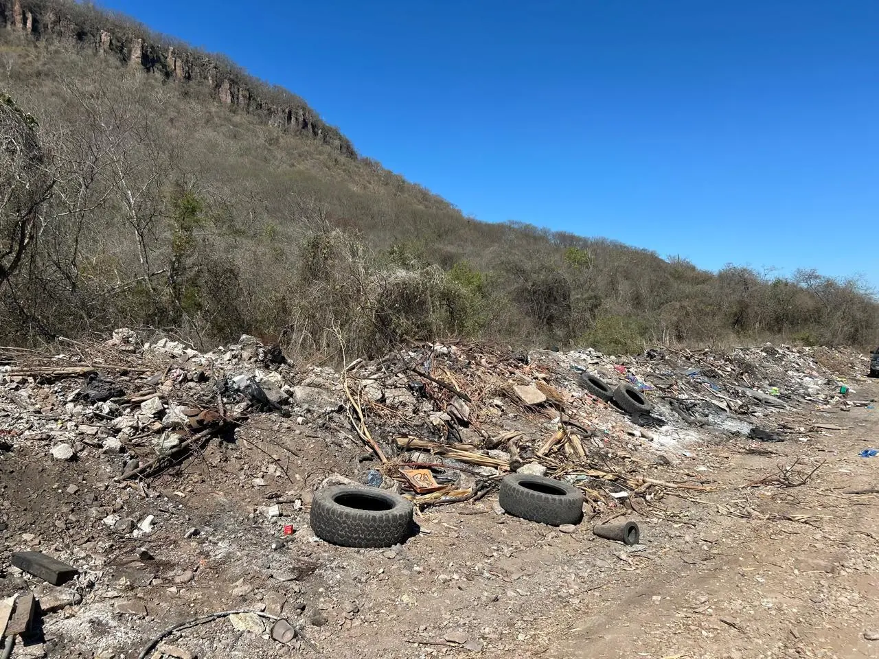 $!Denuncian foco de infección en El Barrio: basurero clandestino acumula hasta restos de animales
