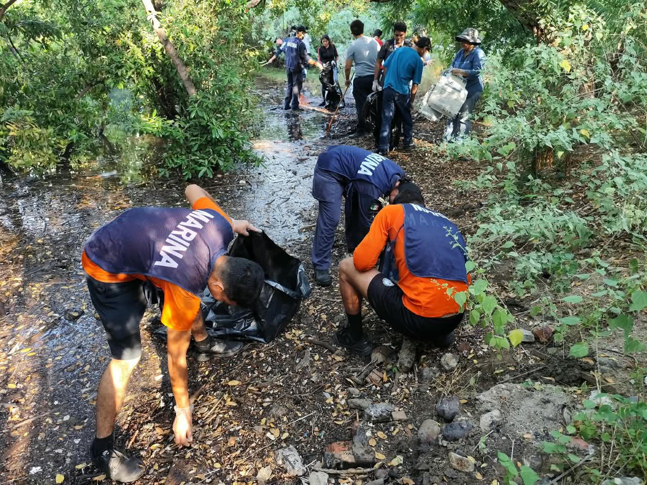 $!Retiran cerca de 290 kilos de basura del manglar del Estero de Urías en Mazatlán