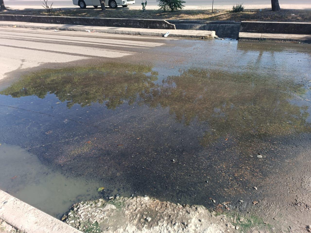 $!Continúa Infonavit Jabalíes con problemas de fugas de aguas negras y fétidos olores