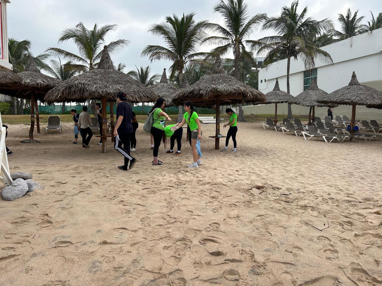 $!Retiran colillas, plásticos y palmas secas en playas de Cerritos, en Mazatlán