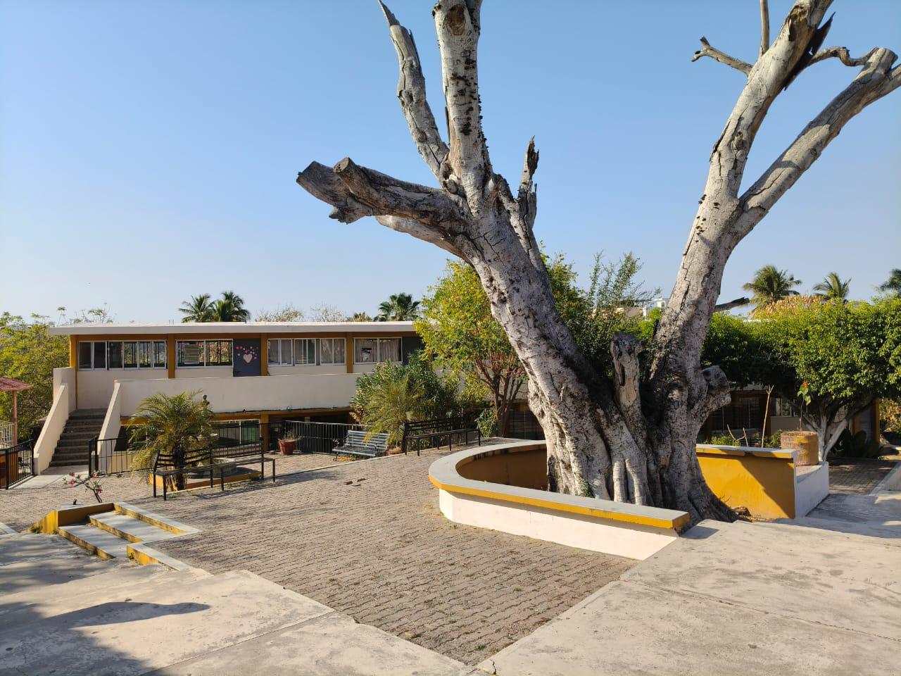 $!En Rosario, se registran aulas vacías tras ola de inseguridad