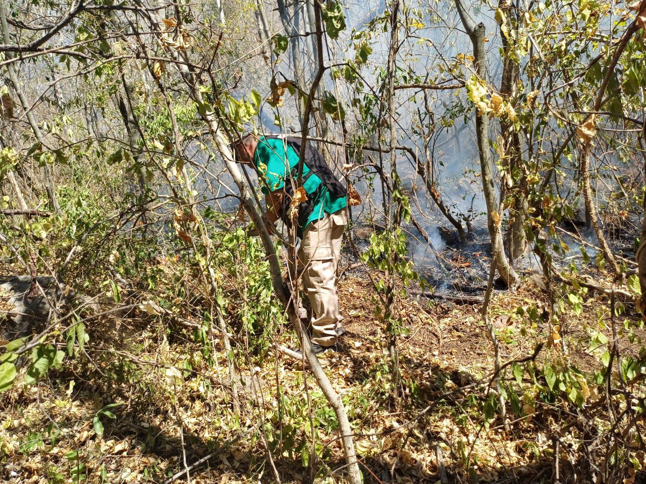 $!Registran incendio forestal en la sierra de Imala, en Culiacán