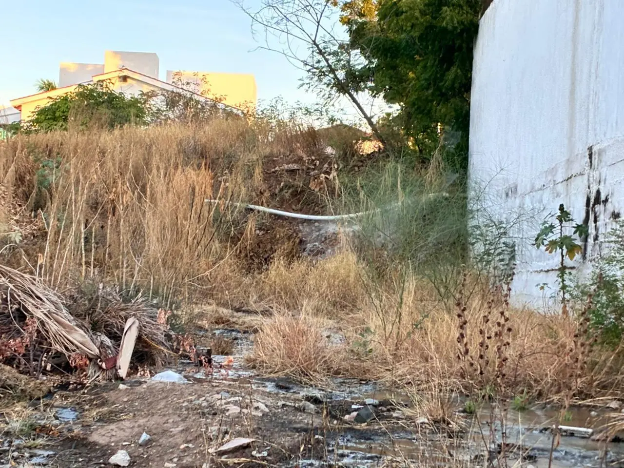 $!Denuncian fuga de agua en la colonia Montebello, en Culiacán