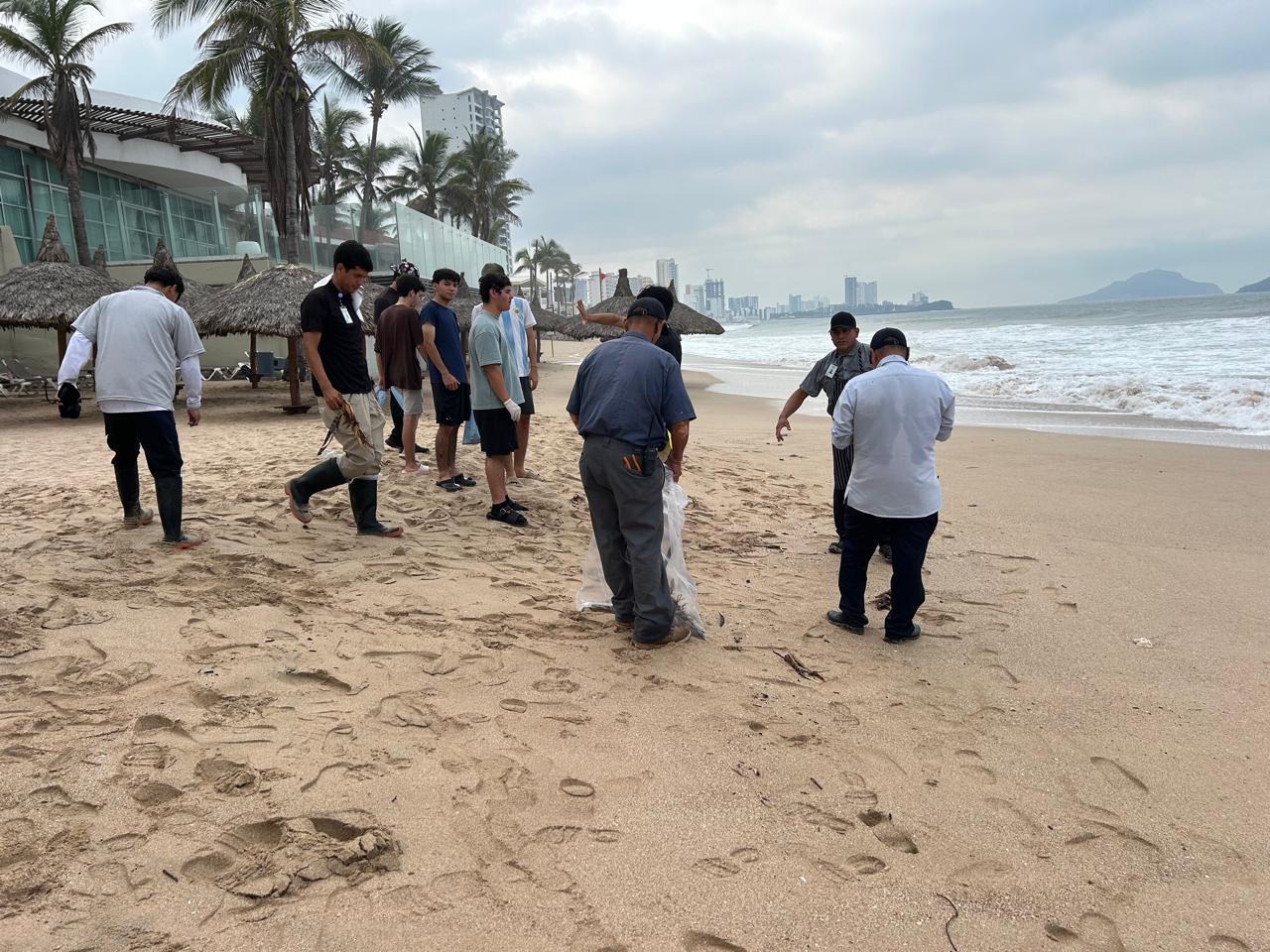 $!Retiran colillas, plásticos y palmas secas en playas de Cerritos, en Mazatlán