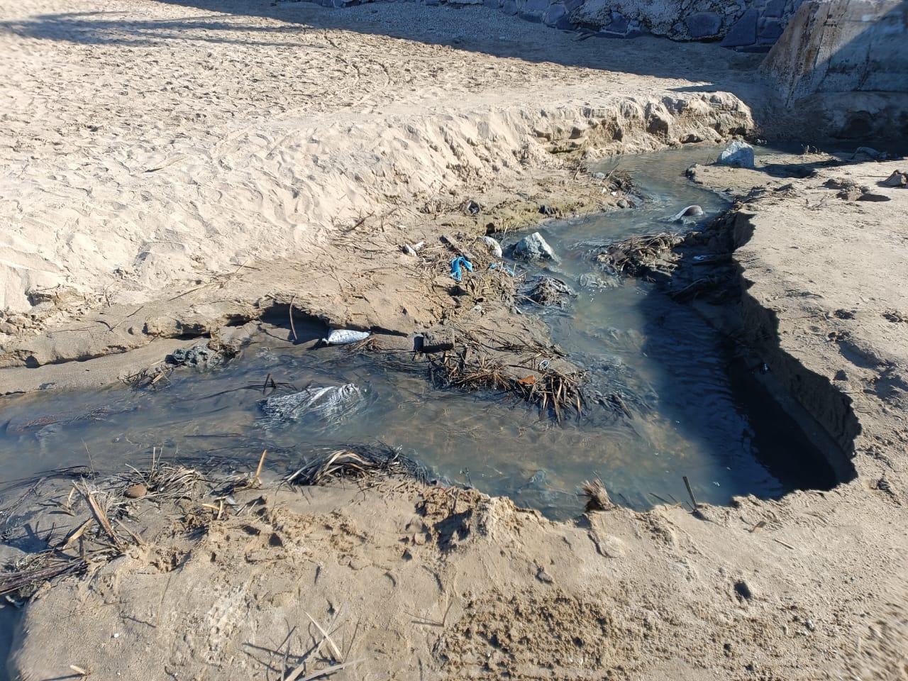 $!Descarga de aguas negras en playa de Mazatlán genera malos olores en el malecón de Mazatlán