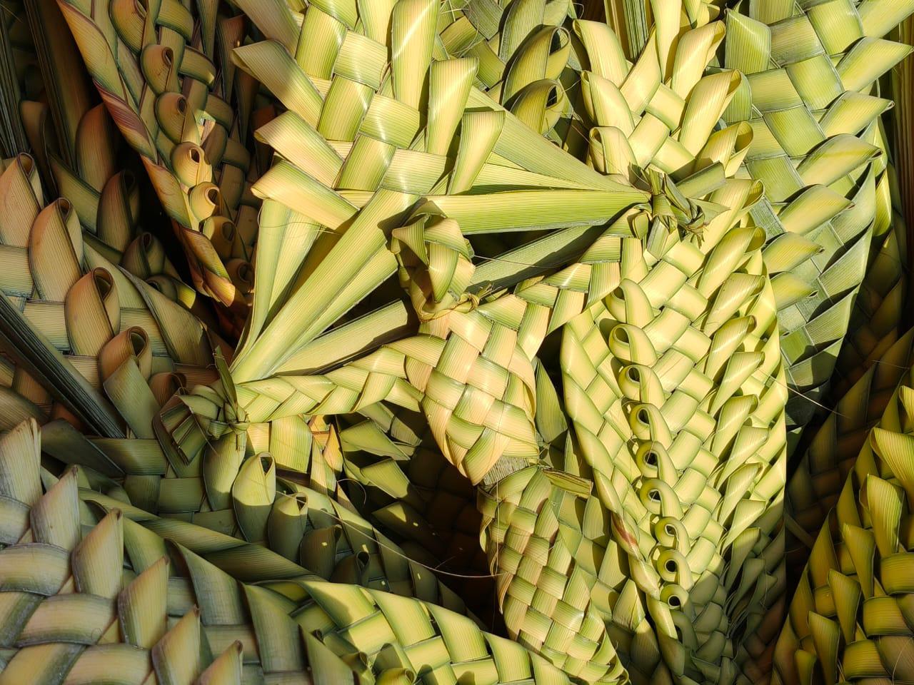 $!Virginia sigue el legado familiar de la venta de palma cada Domingo de Ramos