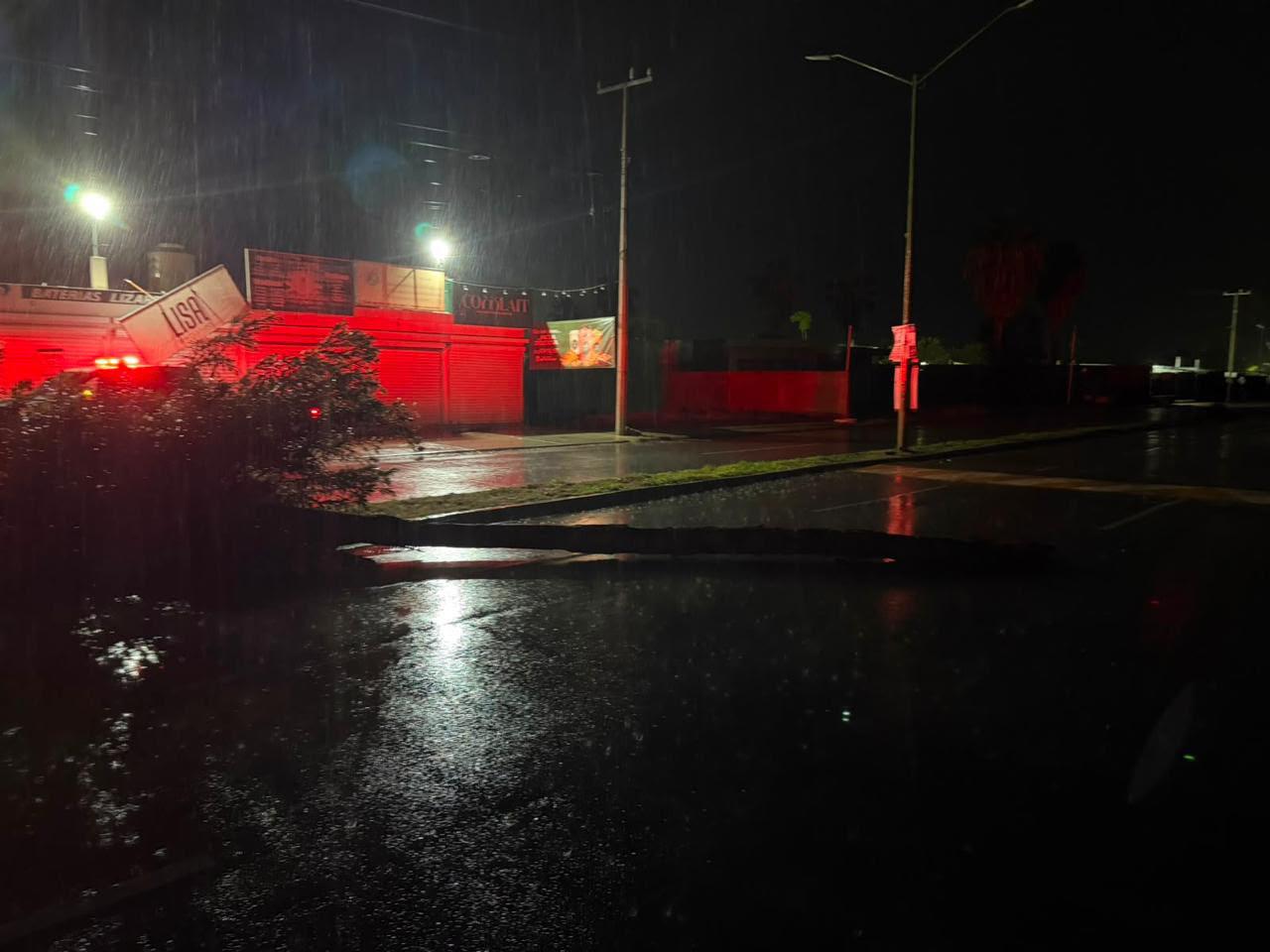 $!Atienden caída de 16 árboles tras lluvias y fuertes vientos en Culiacán