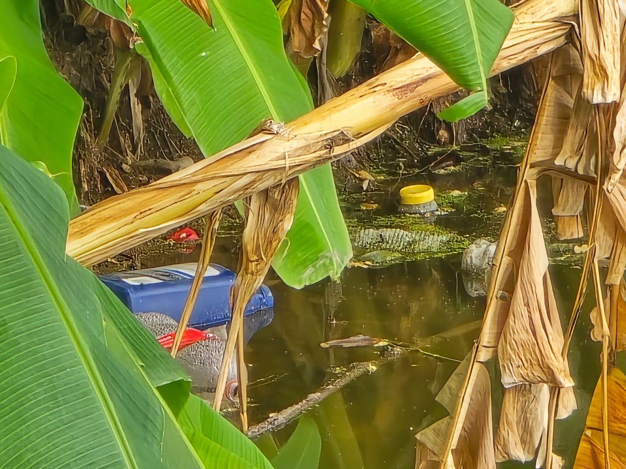 $!Advierte anuncio sobre multa por arroja basura a la Laguna del Iguanero