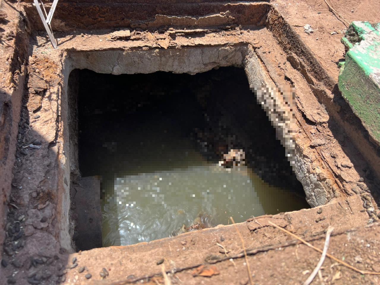 $!Localizan restos de cuatro cuerpos humanos en fosas sépticas en Tacuichamona