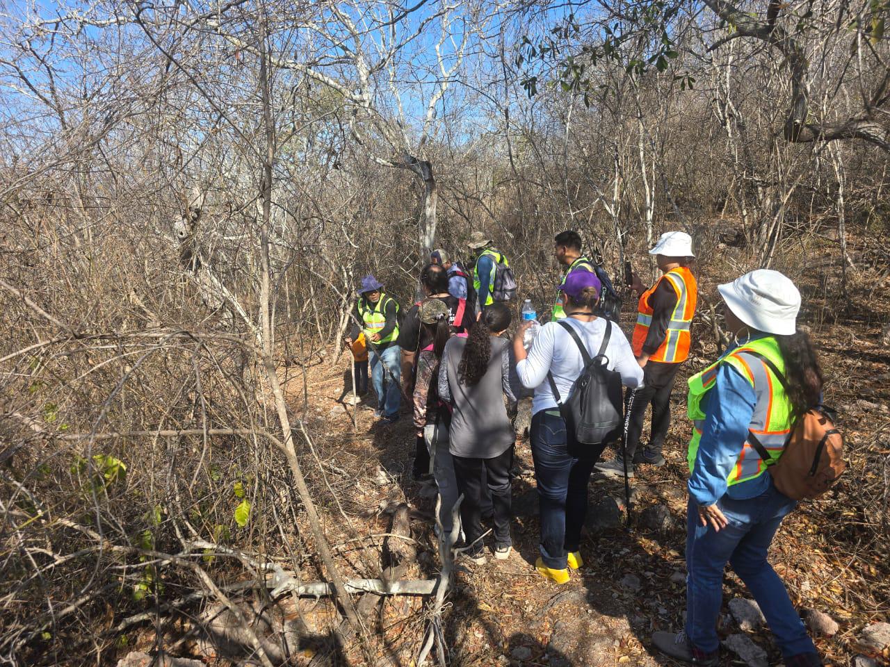 $!Preparan ruta de senderismo para impulsar la imagen turística de Chametla