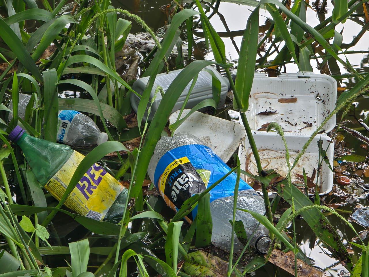 $!Por lluvias lagunas en Rosario se llenan no solo de agua también de basura
