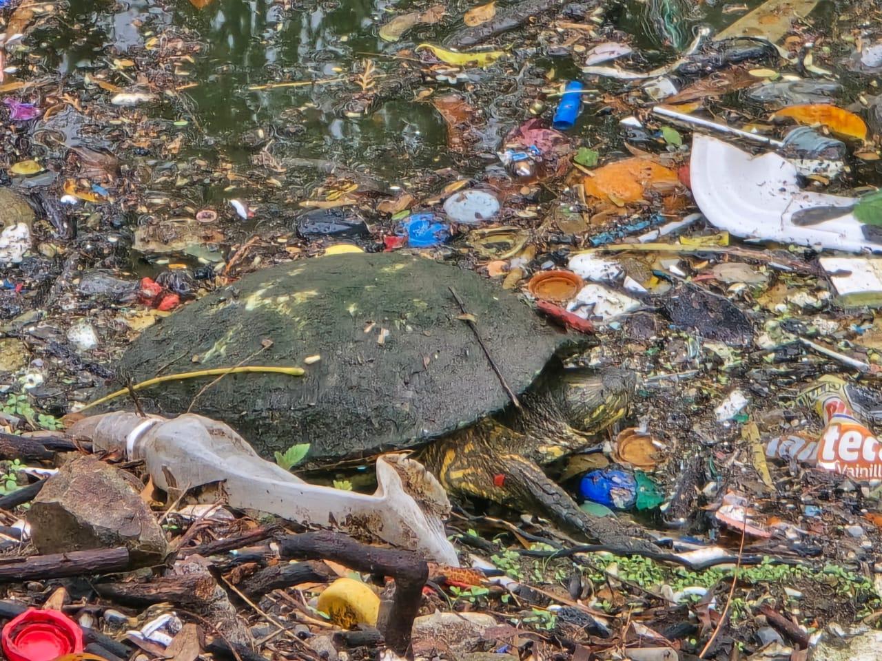 $!Llaman a cuidar espacios turísticos en El Rosario ante vandalismo y basura