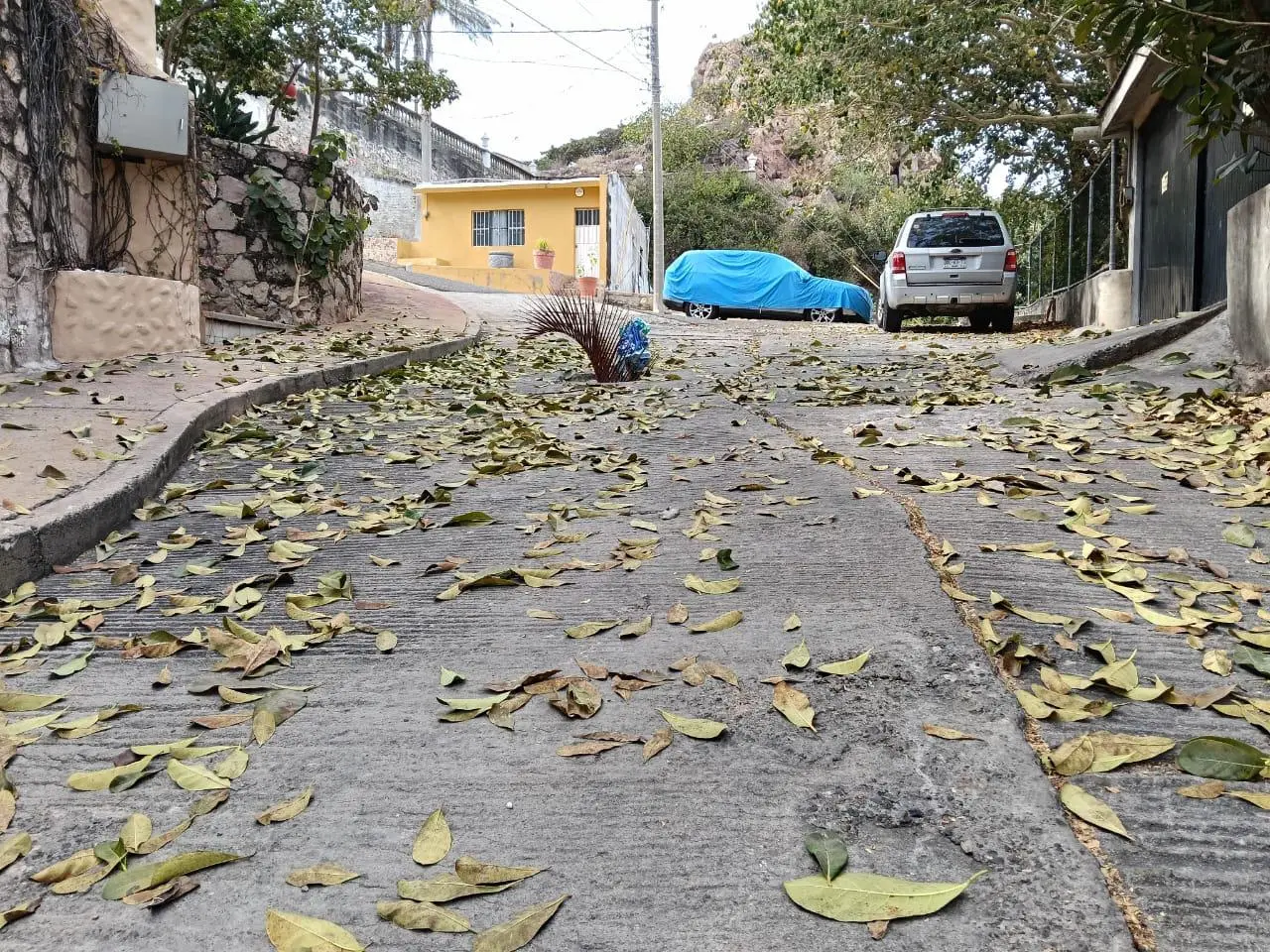 $!Denuncian vecinos del Cerro del Vigía abandono y fallas en servicios públicos