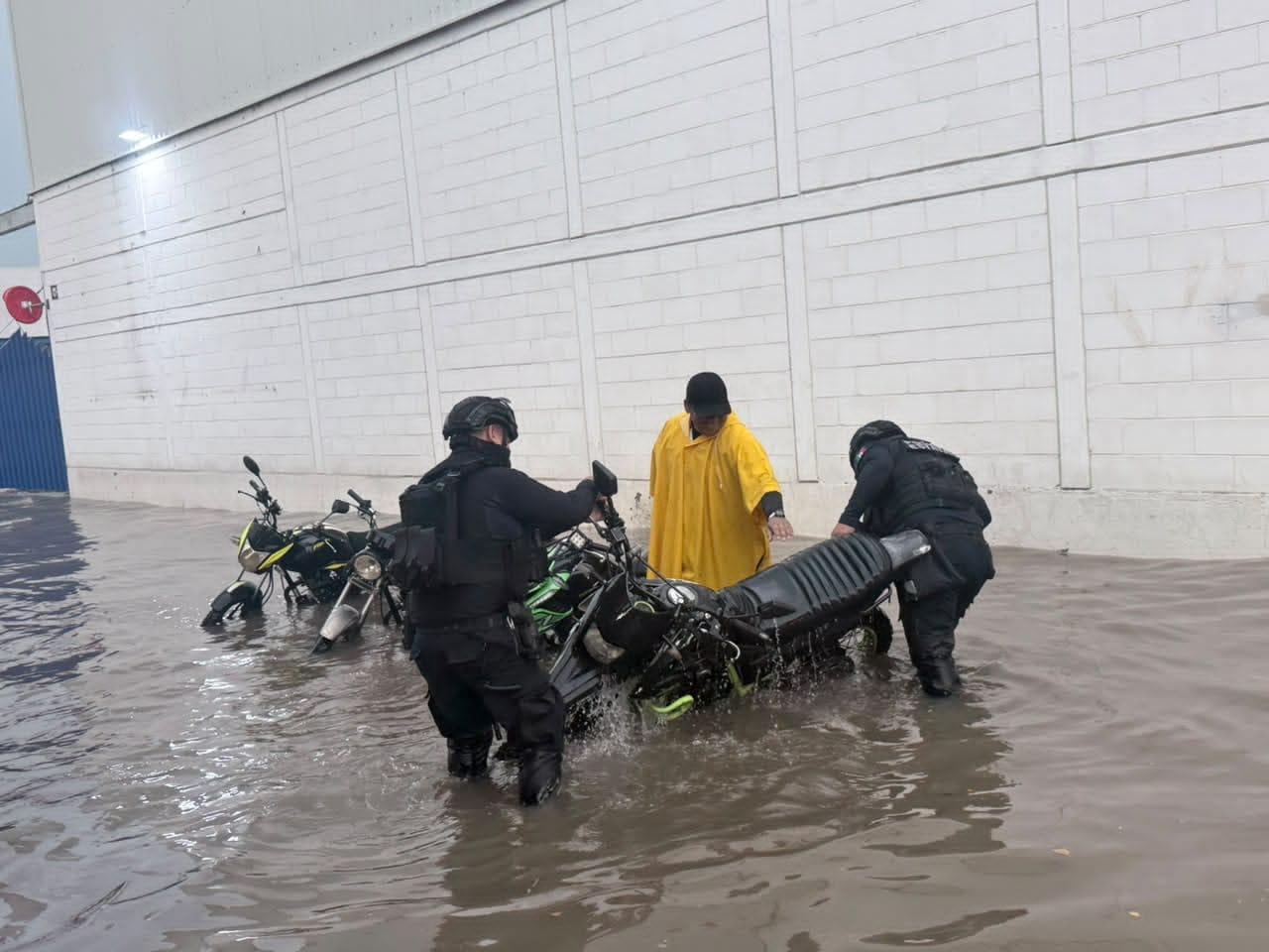 $!SSPE reporta afectaciones en Culiacán tras las lluvias: ocho árboles y tres postes caídos