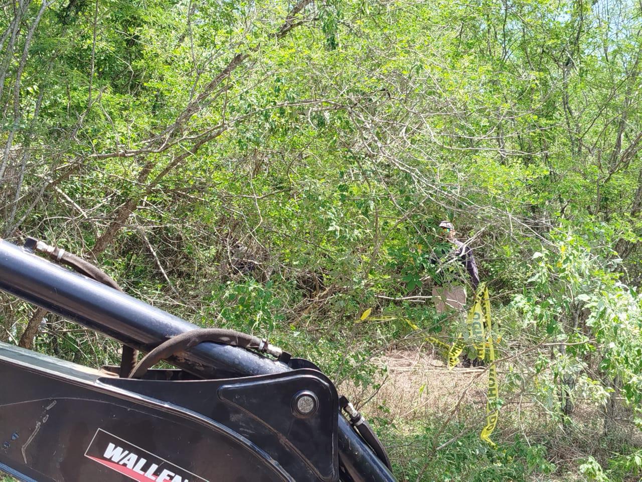 $!Localizan fosa clandestina con osamenta en Higueras del Conchi, Mazatlán