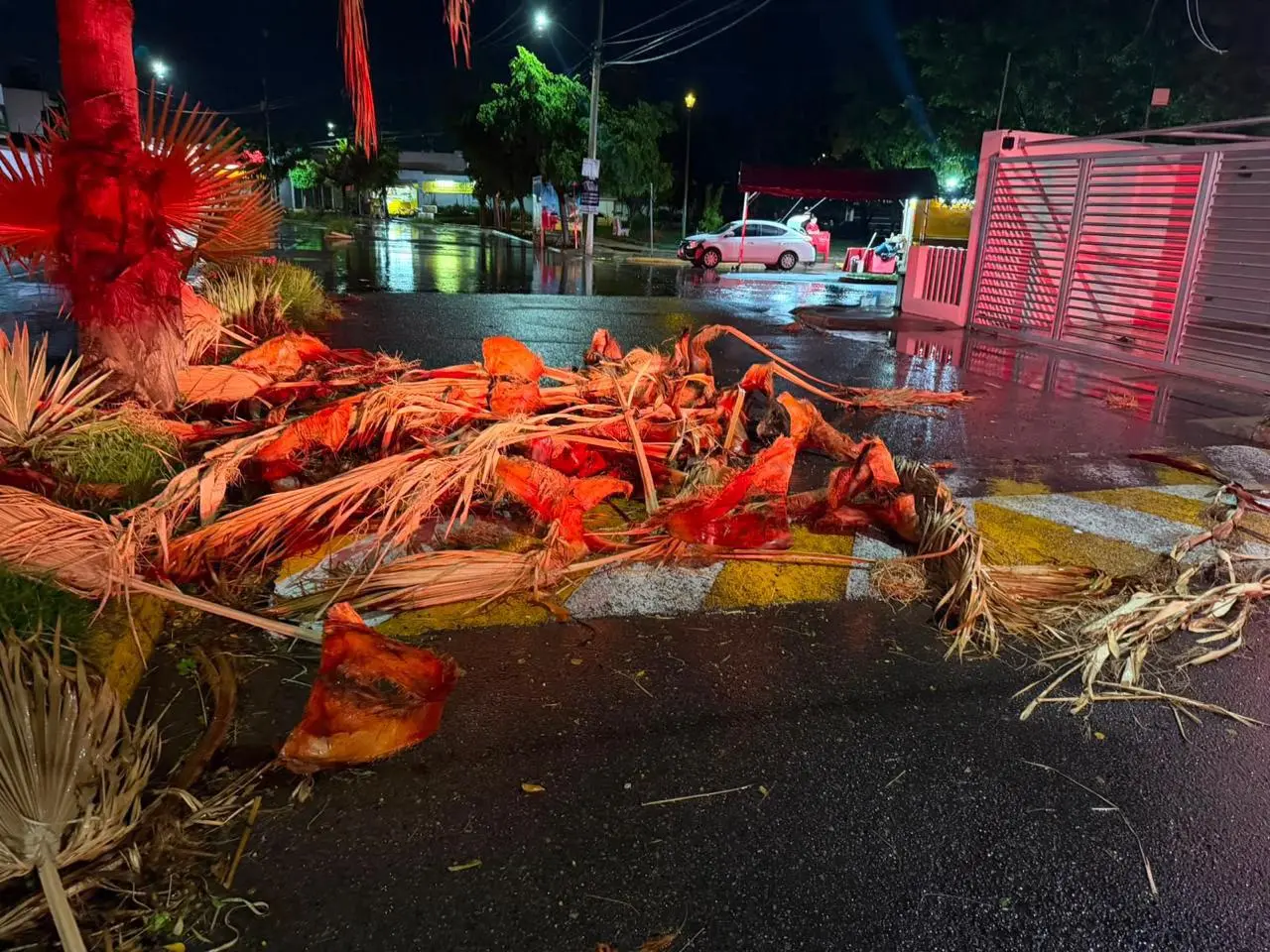 $!Atienden caída de 16 árboles tras lluvias y fuertes vientos en Culiacán