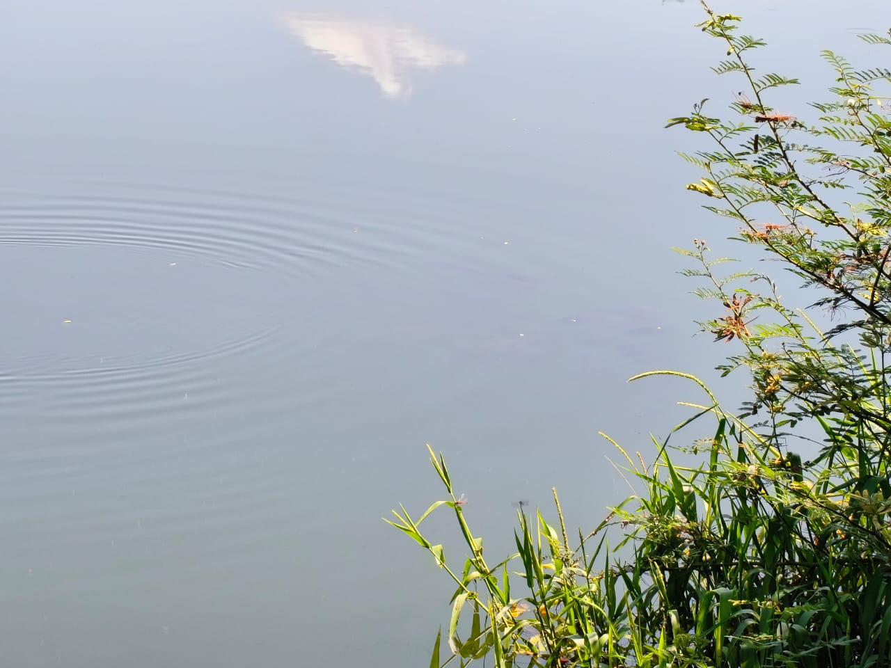 $!Protección Civil alista desazolve preventivo en la laguna del Iguanero en El Rosario