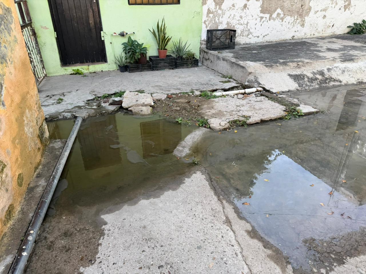 $!Vecinas del Centro denuncian fuga de aguas negras y omisión por las autoridades