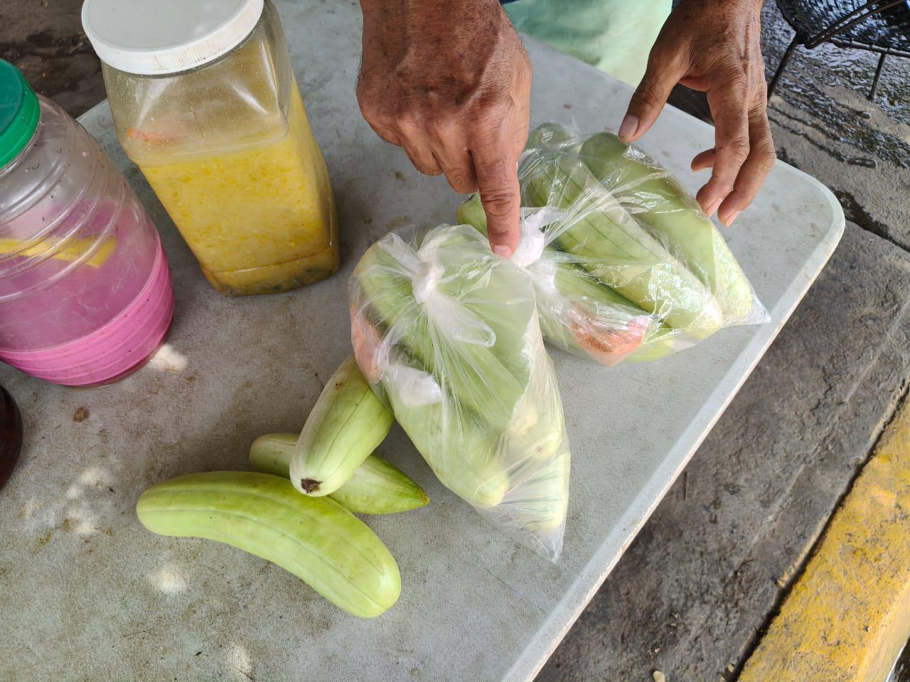 $!Víctor mantiene vivo el cultivo del pepino blanco en Cacalotán
