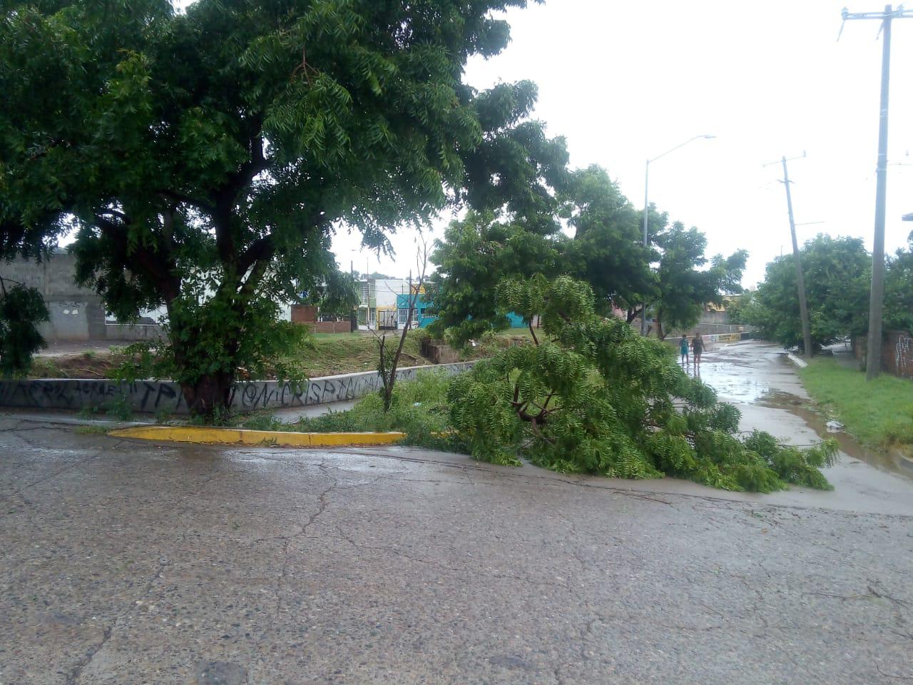 $!En Mazatlán, a vecinos de La Foresta los ‘desveló’ el temor de que se desbordara el Arroyo Jabalines