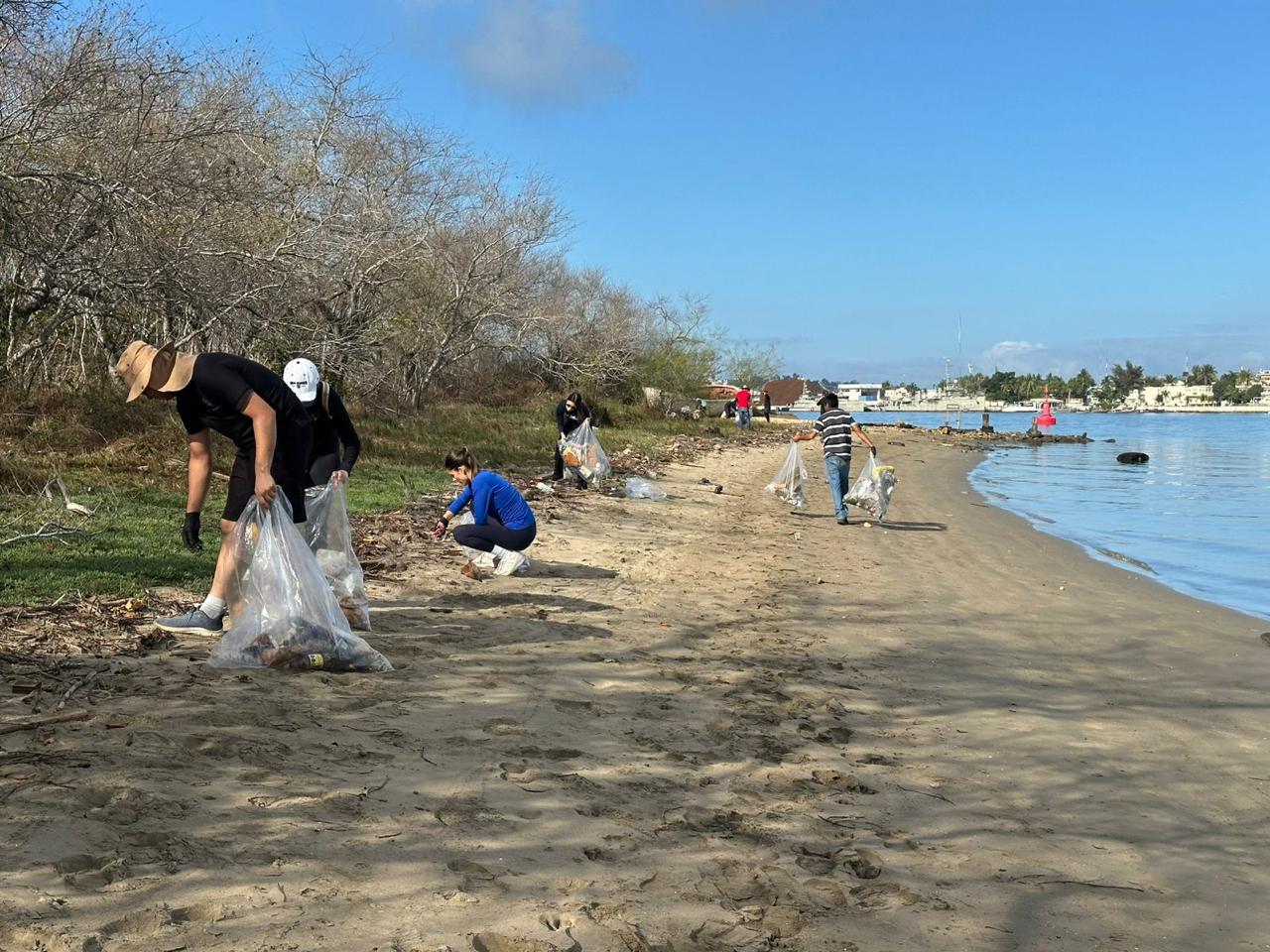 $!Recolecta MazConCiencia hasta 300 kilos de basura en manglar de la Isla de la Piedra