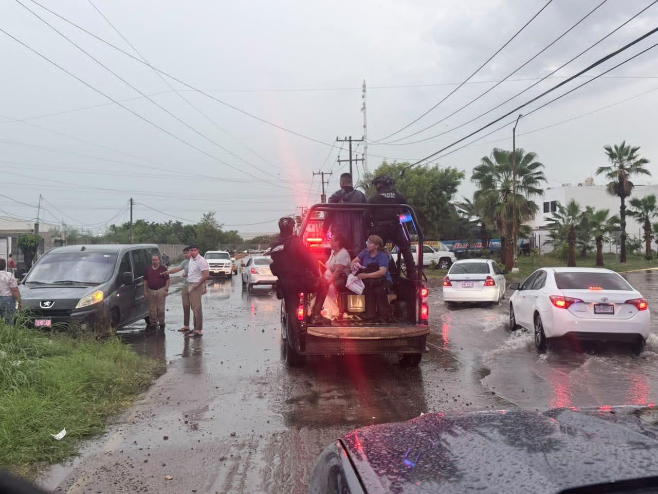 $!SSPE reporta afectaciones en Culiacán tras las lluvias: ocho árboles y tres postes caídos