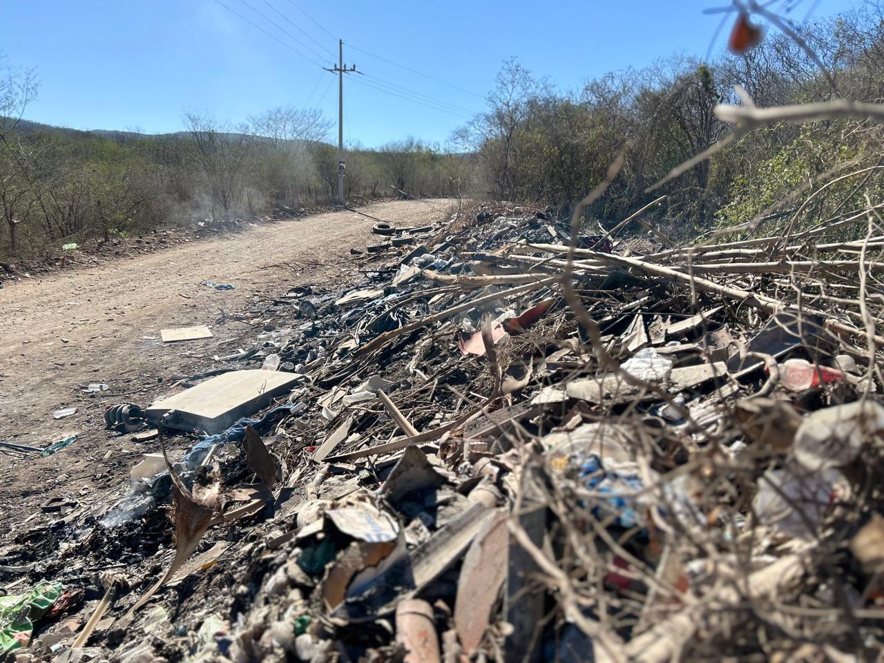 $!Denuncian foco de infección en El Barrio: basurero clandestino acumula hasta restos de animales
