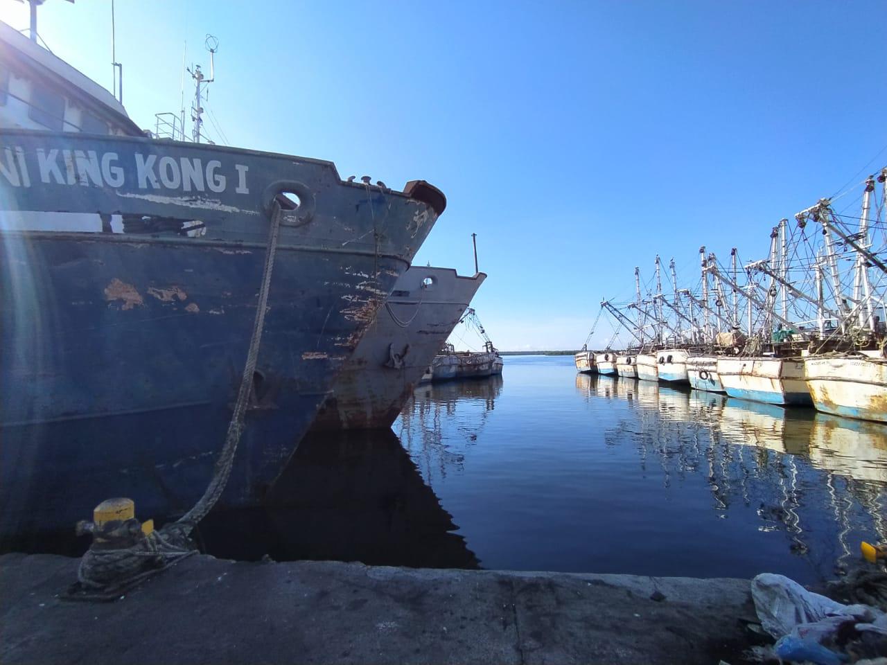 $!Confía Unión de Armadores en que Estados Unidos otorgará nuevamente la certificación al camarón mexicano de altamar