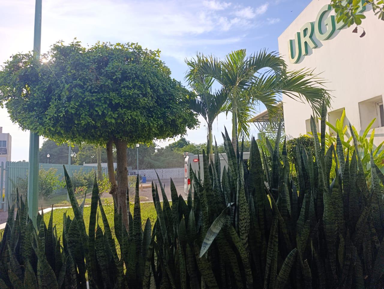 $!Elementos de la Marina resultan heridos tras enfrentamiento en Escuinapa