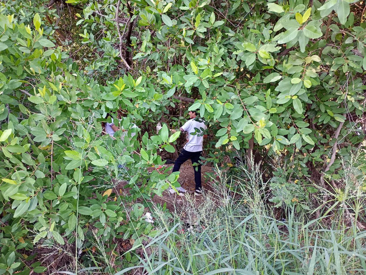 $!Con énfasis en la concientización ambiental se realiza la décima jornada ‘Cuidemos los Manglares’