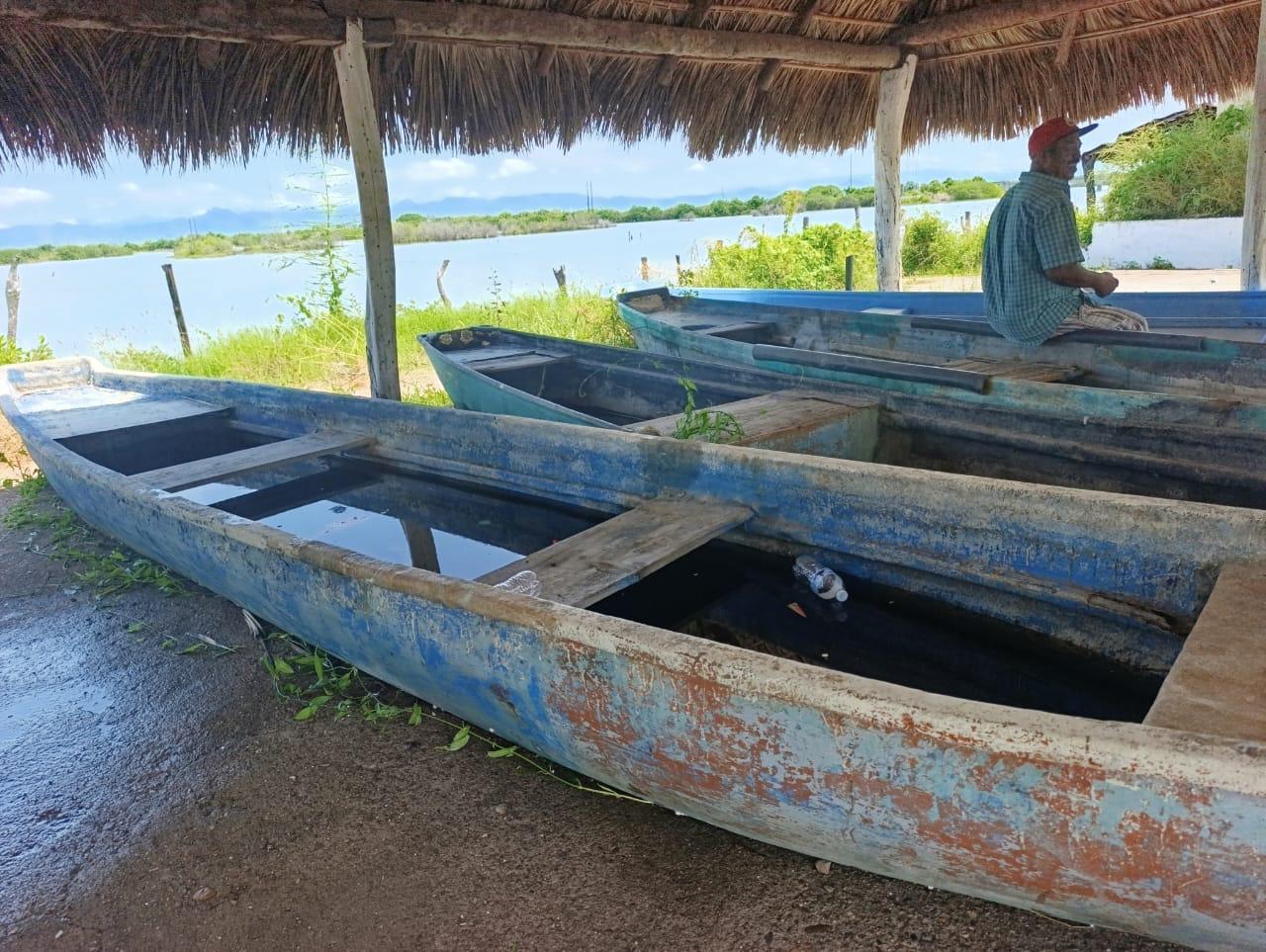 $!Advierten fracaso en la temporada de camarón en Escuinapa