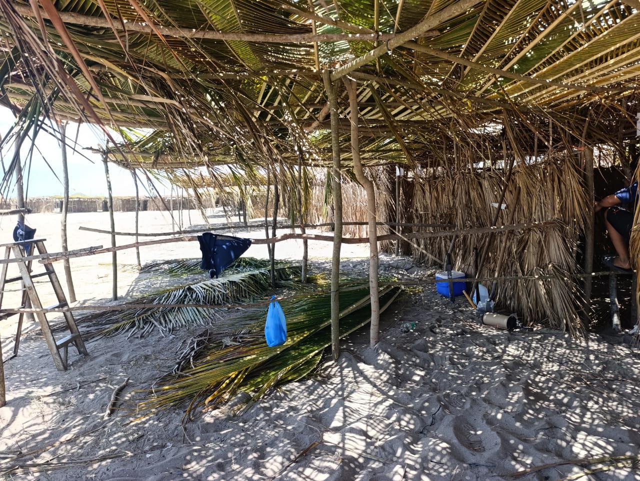 $!Acuden a ampliar enramadas ante el inicio de las Fiestas del Mar de Las Cabras, en Escuinapa