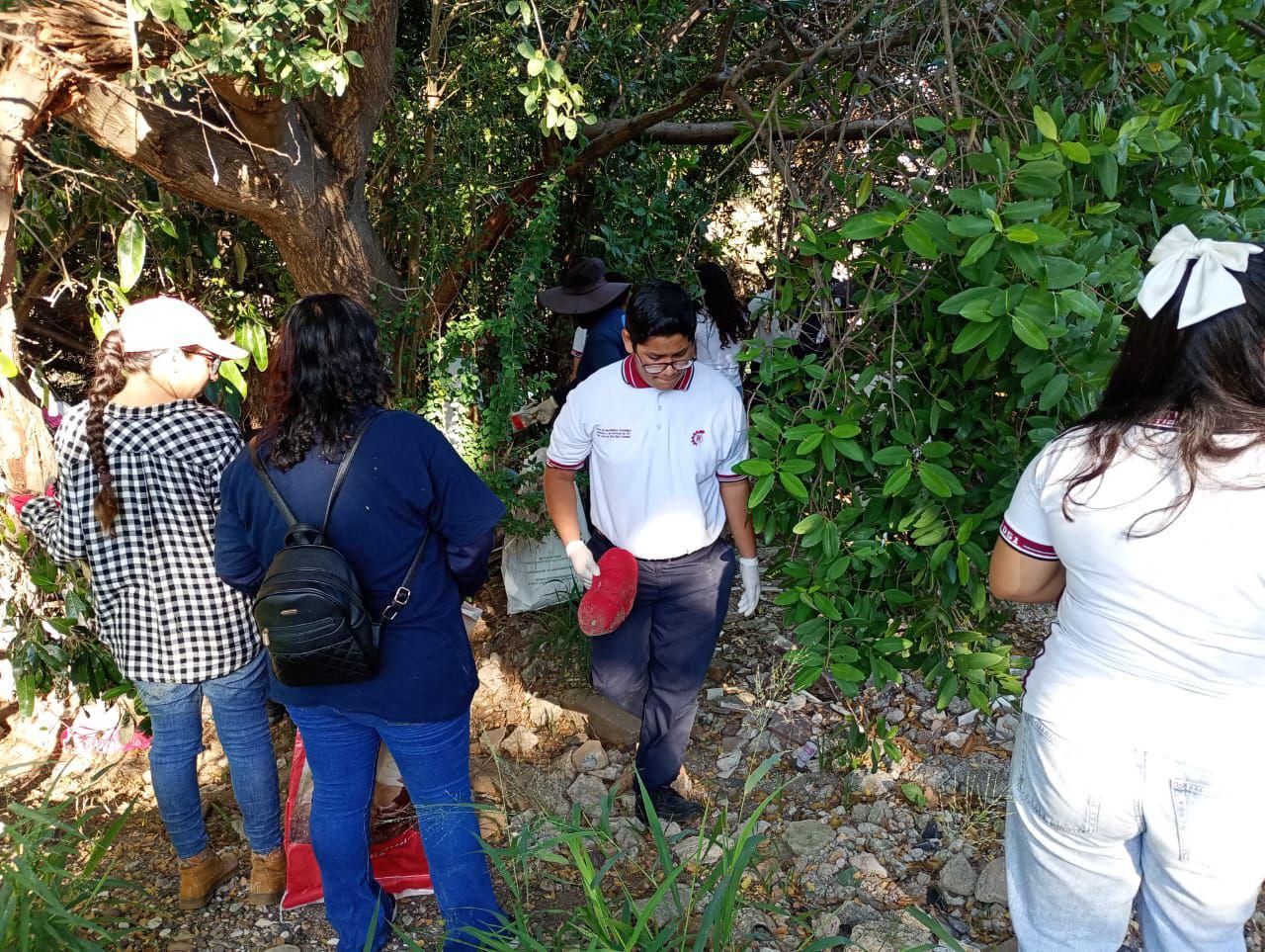 $!Con énfasis en la concientización ambiental se realiza la décima jornada ‘Cuidemos los Manglares’