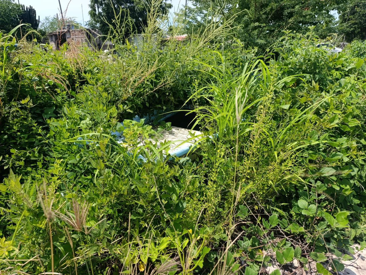 $!Advierten fracaso en la temporada de camarón en Escuinapa