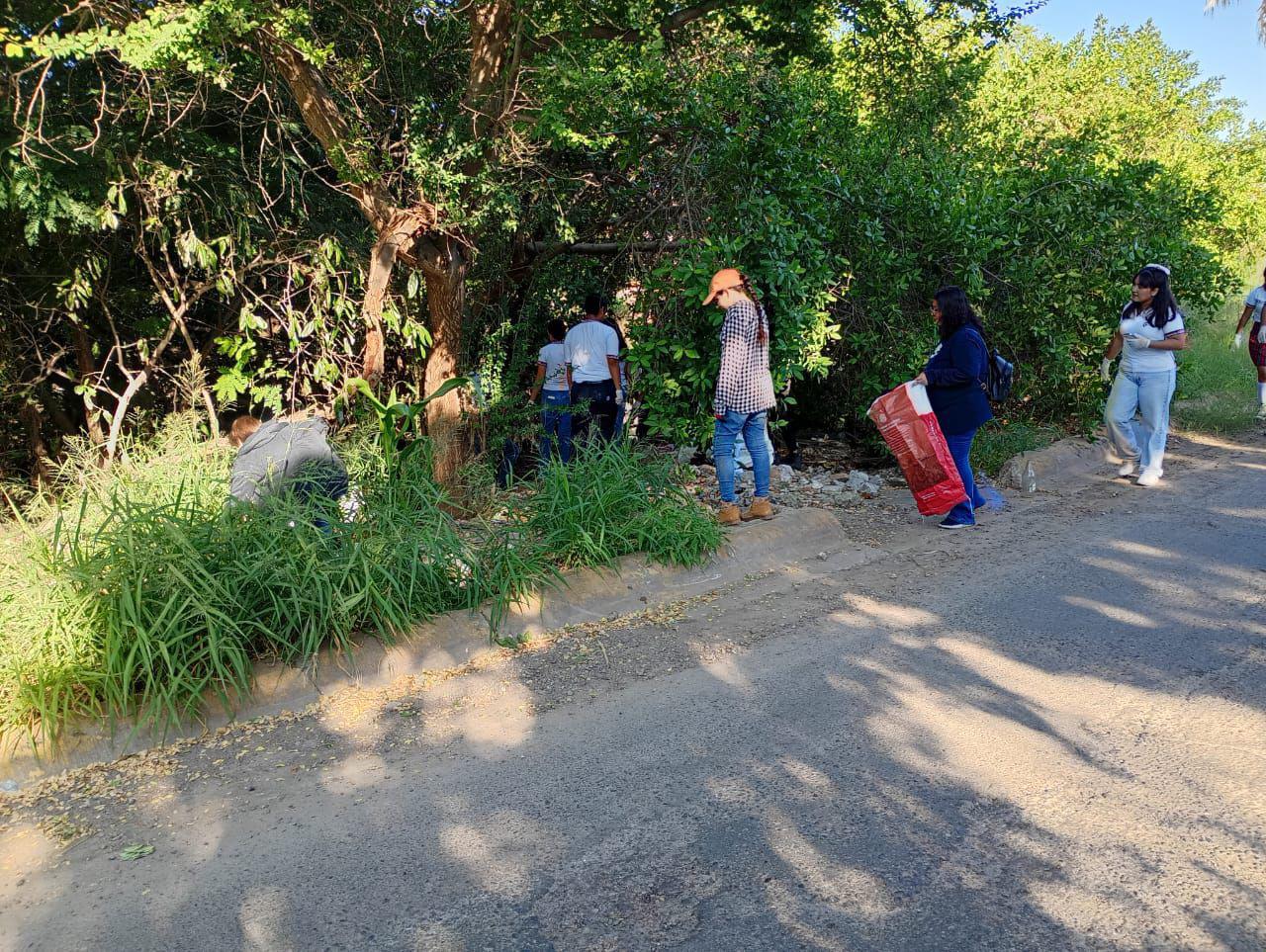 $!Con énfasis en la concientización ambiental se realiza la décima jornada ‘Cuidemos los Manglares’