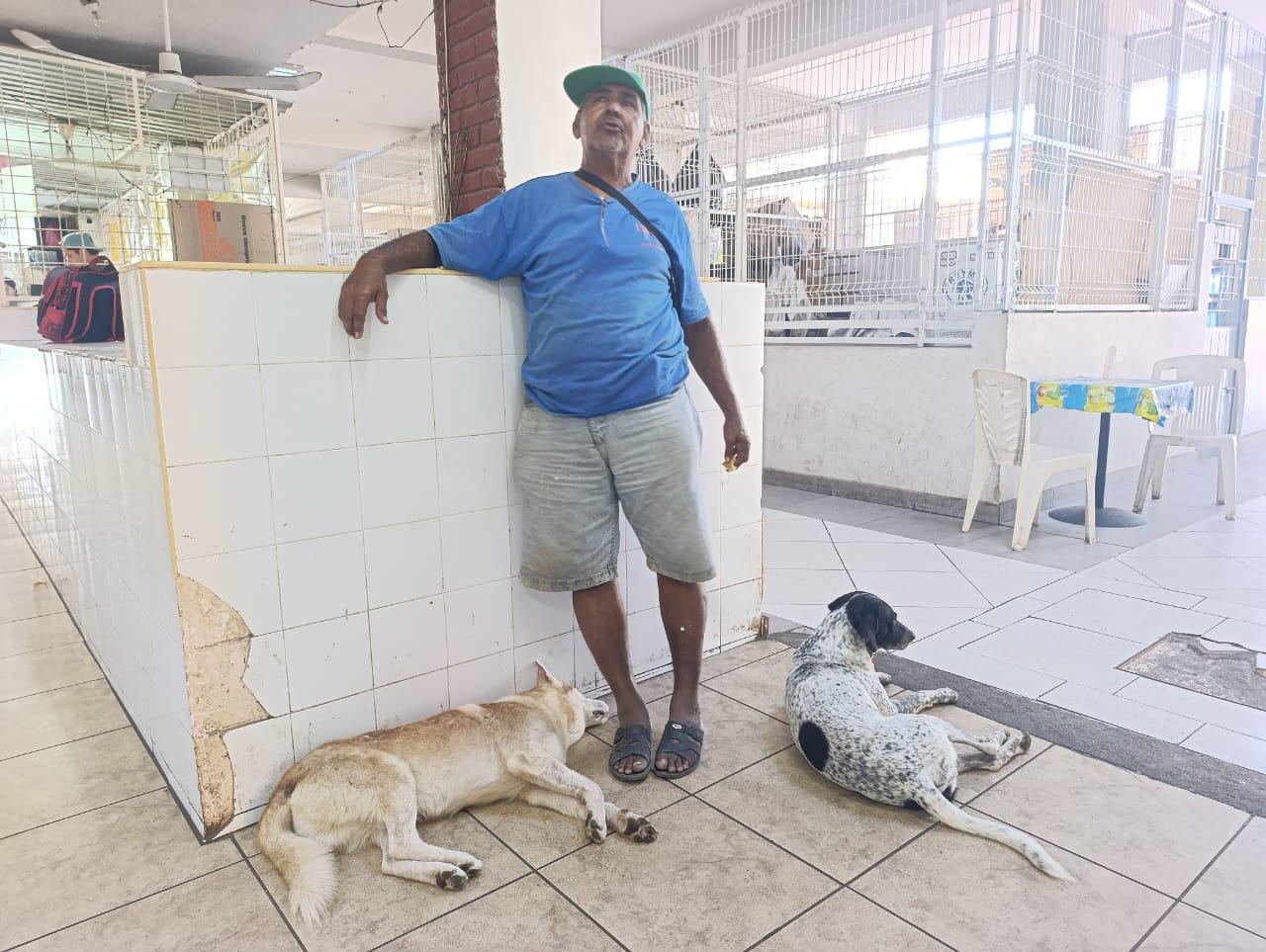 $!Perritos custodian la plazuela Ramón Corona, en Escuinapa