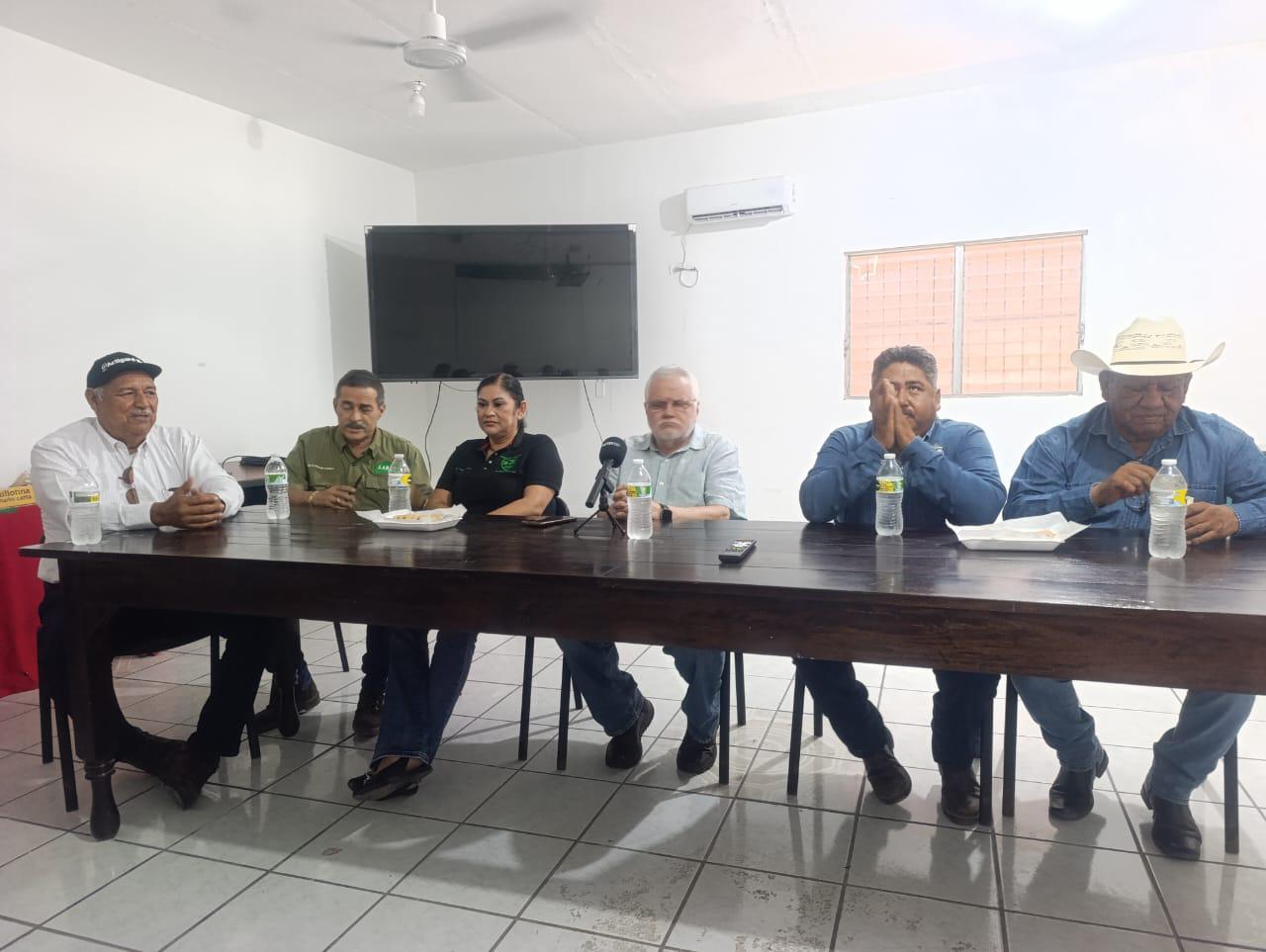 $!Falta de inspectores de USDA detiene operación de empaques de mango de Escuinapa