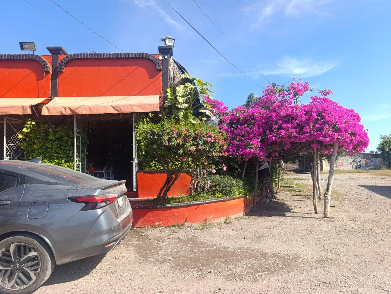 $!Negocios de parador turístico en Escuinapa están en agonía: comerciantes